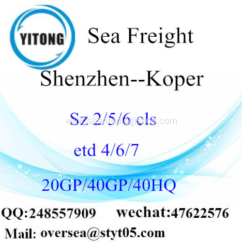 Shenzhen Port Sea Freight Shipping To Koper